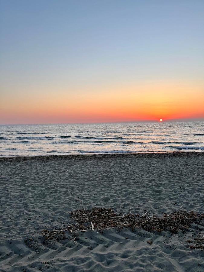 House Viareggio 빌라 외부 사진